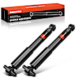 APSA1189 Rear Shock Absorber, Set of 2