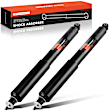 APSA1196 Rear Shock Absorber, Set of 2
