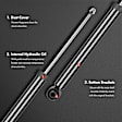 APSA1214 Rear Shock Absorber, Set of 2