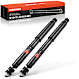 APSA1243 Front or Rear Shock Absorber, Set of 2