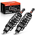 APSA1246 Rear Complete Strut & Coil Spring Assembly, Set of 2