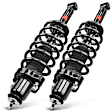APSA1246 Rear Complete Strut & Coil Spring Assembly, Set of 2
