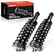 APSA1250 Front Complete Strut & Coil Spring Assembly, Set of 2