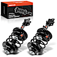 APSA1259 Front Complete Strut & Coil Spring Assembly, Set of 2