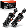 APSA1273 Rear Complete Strut & Coil Spring Assembly, Set of 2