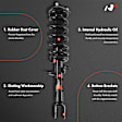 APSA1278 Front Complete Strut & Coil Spring Assembly, Set of 2