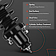 APSA1279 Rear Complete Strut & Coil Spring Assembly, Set of 2