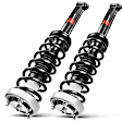 APSA1290 Rear Complete Strut & Coil Spring Assembly, Set of 2