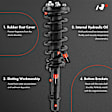 APSA1294 Front Complete Strut & Coil Spring Assembly, Set of 2