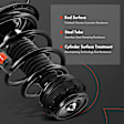 APSA1295 Front Complete Strut & Coil Spring Assembly, Set of 2