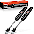 APSA1329 Front Shock Absorber, Set of 2