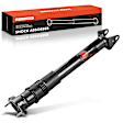 APSA1405 Rear Driver or Passenger Shock Absorber