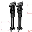 APSA1406 2x Rear Shock Absorber