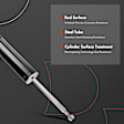 APSA1407 Rear Driver or Passenger Shock Absorber