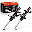 APSA1480 Front Shock Absorber, Set of 2