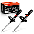 APSA1542PG Rear Shock Absorber, Set of 2