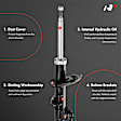 APSA1581 Front Driver & Passenger Shock Absorber, Set of 2