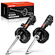 APSA1600 Front Shock Absorber, Set of 2