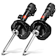 APSA1600 Front Shock Absorber, Set of 2