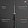 APSA1624 Rear Shock Absorber, Set of 2