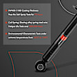 APSA1636 Rear Shock Absorber, Set of 2