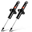 APSA1638 Rear Shock Absorber, Set of 2