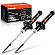 APSA1640 Rear Shock Absorber, Set of 2