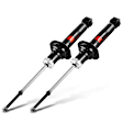 APSA1640 Rear Shock Absorber, Set of 2