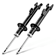 APSA1668 Front Shock Absorber, Set of 2