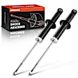 APSA1669 Rear Driver & Passenger Shock Absorber, Set of 2