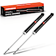 APSA1676 Rear Shock Absorber, Set of 2