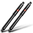 APSA1677 Front Shock Absorber, Set of 2