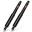 APSA1691 Rear Shock Absorber, Set of 2