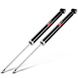 APSA1702 Rear Shock Absorber, Set of 2