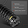 APSA1806 Front Shock Strut & Coil Spring Assembly, Set of 2