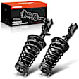 APSA1810 Rear Complete Strut & Coil Spring Assembly, Set of 2