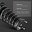 APSA1810 Rear Complete Strut & Coil Spring Assembly, Set of 2