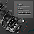 APSA1825 Front Complete Strut & Coil Spring Assembly, Set of 2