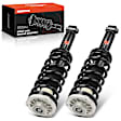 APSA1838 Rear Complete Strut & Coil Spring Assembly, Set of 2