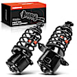 APSA1844 Rear Complete Strut & Coil Spring Assembly, Set of 2