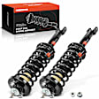 APSA1881 Rear Complete Strut & Coil Spring Assembly, Set of 2