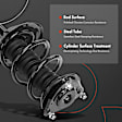 APSA1885 Front Complete Strut & Coil Spring Assembly, Set of 2