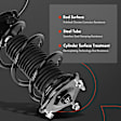 APSA1886 Front Complete Strut & Coil Spring Assembly, Set of 2