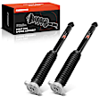 APSA1901 Rear Shock Absorber, Set of 2