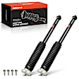 APSA1902 Rear Shock Absorber, Set of 2