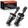 APSA1948 Rear Complete Strut & Coil Spring Assembly, Set of 2