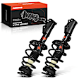 APSA1974 Front Complete Strut & Coil Spring Assembly, Set of 2