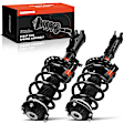 APSA2007 Front Complete Strut & Coil Spring Assembly, Set of 2