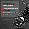 APSA2018 Front Complete Strut & Coil Spring Assembly, Set of 2
