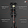 APSA2038 Front Complete Strut & Coil Spring Assembly, Set of 2